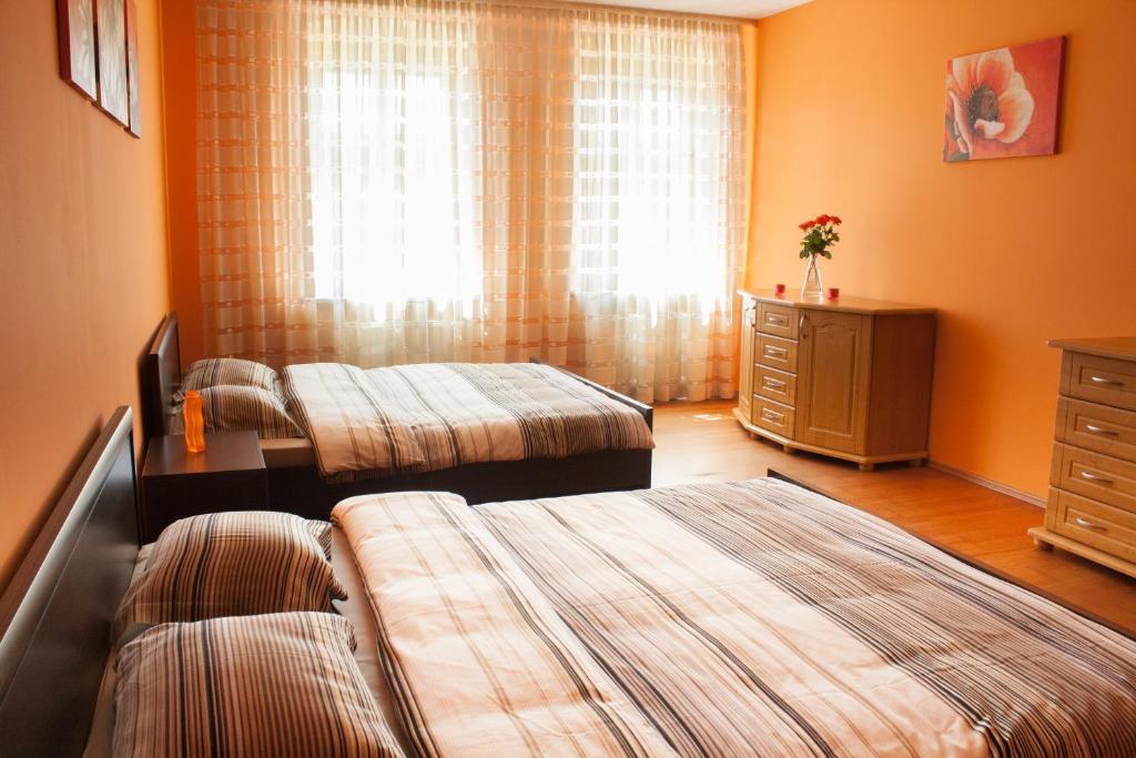 Absynt Hostel Wrocław